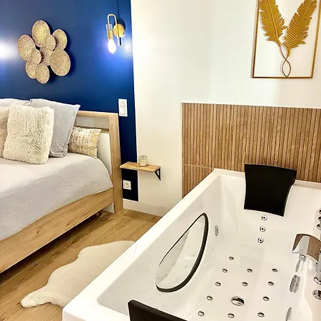 Hyper Centre Balneo Casa Dauphine * Dijon