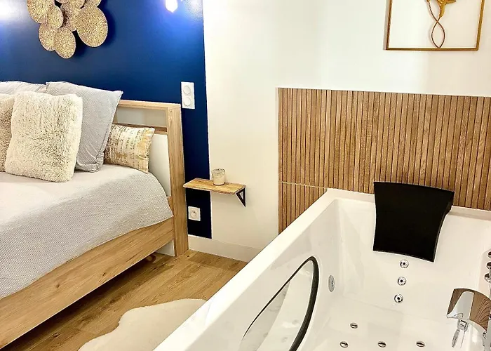 Hyper Centre Balneo Casa Dauphine * Dijon